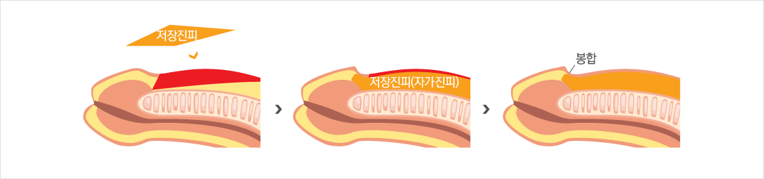 ±ÍµÎÈ®´ë